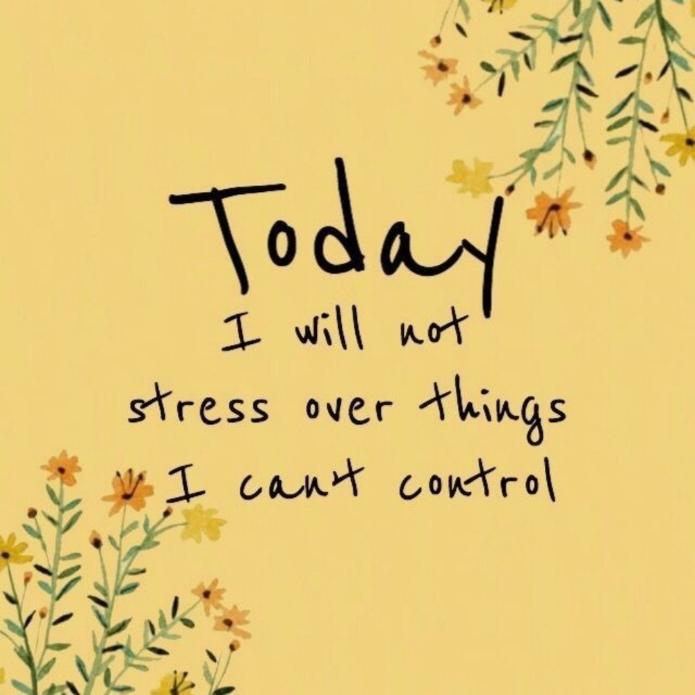 🌻 - Picture 4 of 4